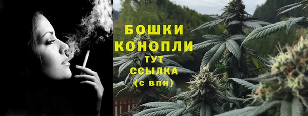 гидра Баксан
