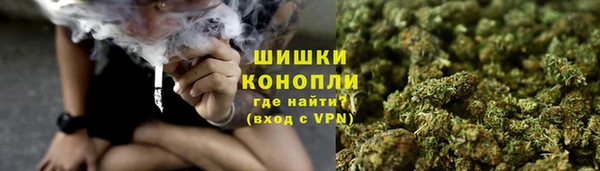 ГАЛЛЮЦИНОГЕННЫЕ ГРИБЫ Балахна
