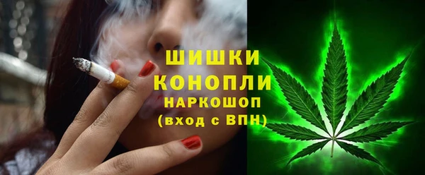 ГАЛЛЮЦИНОГЕННЫЕ ГРИБЫ Балахна