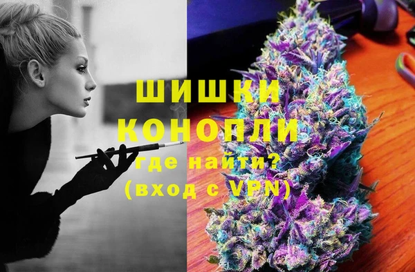 ГАЛЛЮЦИНОГЕННЫЕ ГРИБЫ Балахна