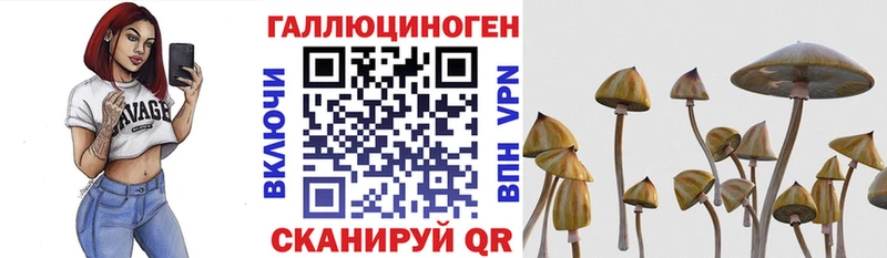 Псилоцибиновые грибы Psilocybine cubensis Прокопьевск